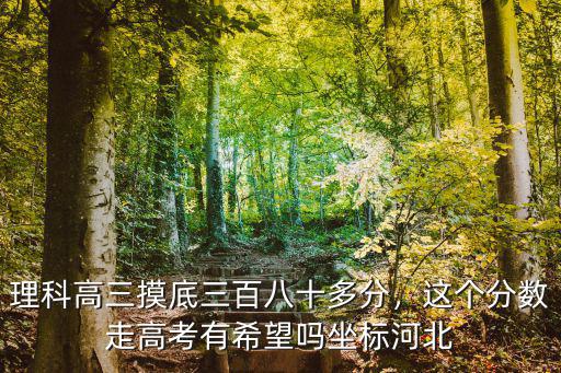 理科高三摸底三百八十多分，這個分數走高考有希望嗎坐標河北