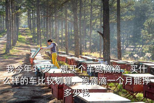 邯鄲滴滴司機有多少,在邯鄲跑滴滴順風車怎么樣