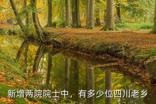 新增兩院院士中，有多少位四川老鄉