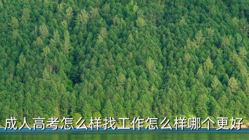 成人高考怎么樣找工作怎么樣哪個更好