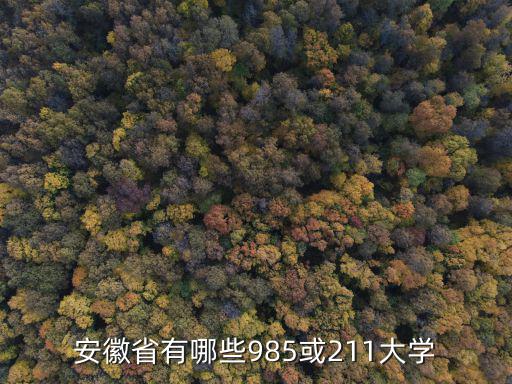 安徽省有哪些985或211大學