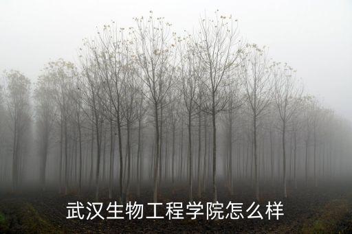 武漢生物工程學(xué)院怎么樣就業(yè)前景,武漢生物工程學(xué)院怎么樣