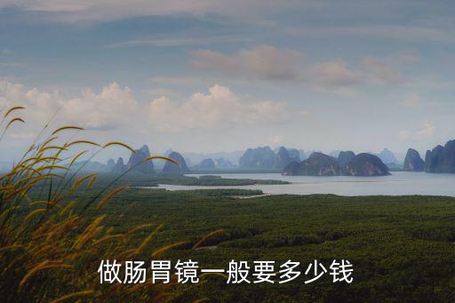 做腸胃鏡一般要多少錢