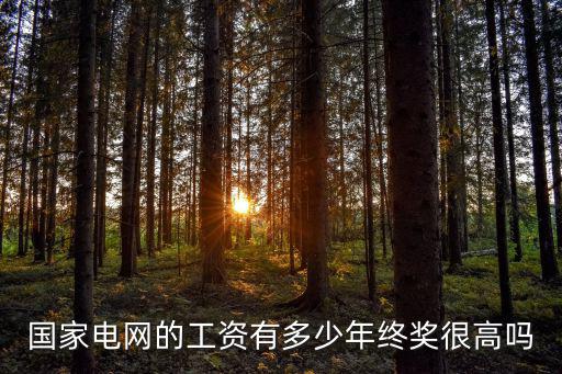 國家電網的工資有多少年終獎很高嗎
