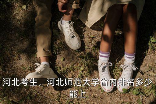 河北考生，河北師范大學省內排名多少能上