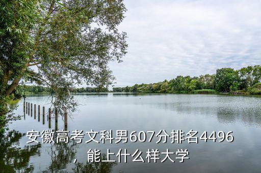 安徽2018文科652分排名多少,2018年安徽文科611分