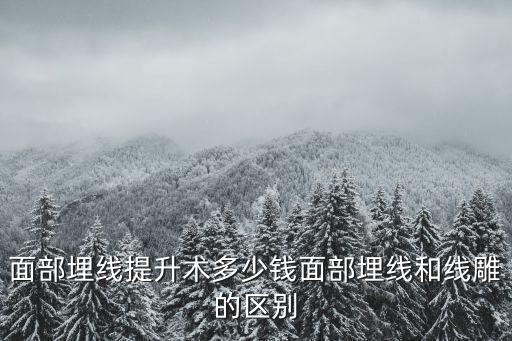 淮北埋線多少錢,面部埋線提升術多少錢