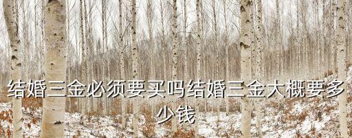 結(jié)婚三金必須要買嗎結(jié)婚三金大概要多少錢