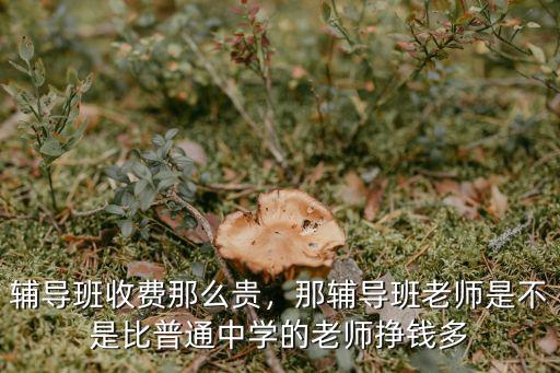 輔導班收費那么貴，那輔導班老師是不是比普通中學的老師掙錢多