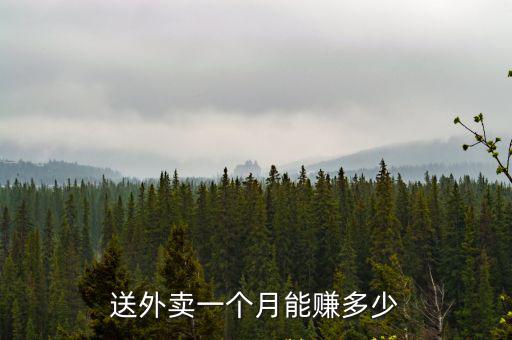 送外賣一個月能賺多少