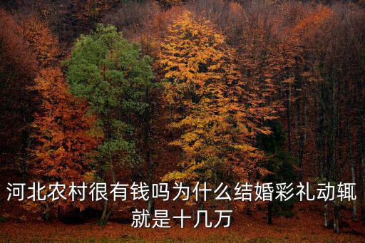 河北農村很有錢嗎為什么結婚彩禮動輒就是十幾萬