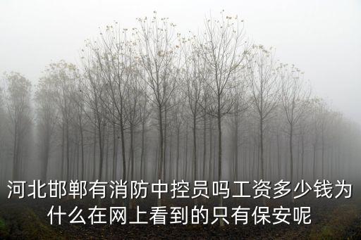 河北消防員每月有多少薪水,消防員工資一般多少錢一個月
