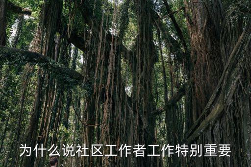 為什么說社區(qū)工作者工作特別重要