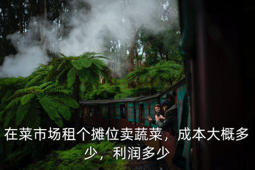 石家莊市蔬菜市場柜臺攤位多少錢,在菜市場租個攤位賣蔬菜