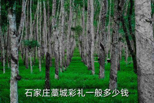 石家莊藁城有多大人口多少,石家莊藁城彩禮一般多少錢