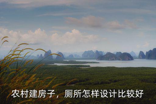 農村建房子，廁所怎樣設計比較好