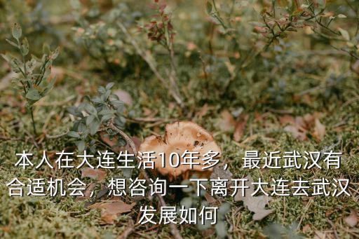 別人要離開武漢怎么說,6月底很多人離開了武漢嗎