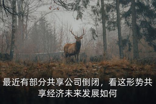 河北共享經濟公司有多少錢,最近有部分共享公司倒閉
