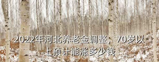 河北70歲以上養老金多少,70歲以上預計能漲多少錢
