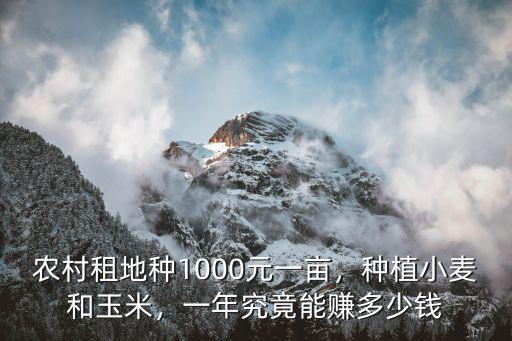 河北農(nóng)田包地多少錢一畝,你們那里承包地多少錢一畝