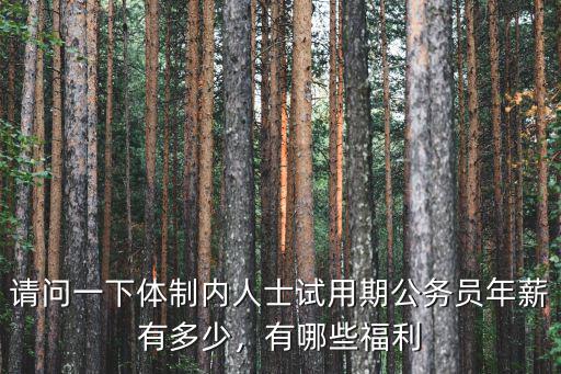 請問一下體制內(nèi)人士試用期公務(wù)員年薪有多少，有哪些福利