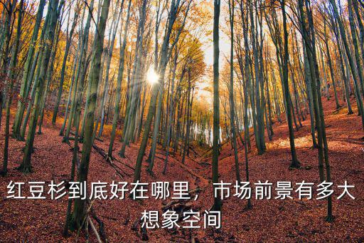 南陽哪里有紅豆杉,紅豆杉到底好在哪里