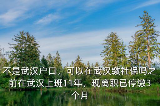 戶口不在武漢離職后社保怎么辦,可以在武漢繳社保嗎