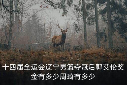 蚌埠全運會有多少錢,西安全運會投資了多少錢