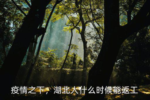 湖北人來洛陽返工怎么辦,湖北人該怎么辦