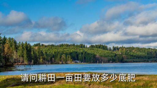 一畝五分田要多少復(fù)合肥,請問耕田一畝田要放多少底肥
