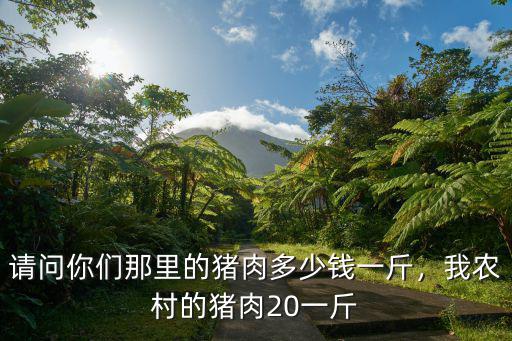 今天淮南毛豬多少錢一斤,毛豬12元一斤