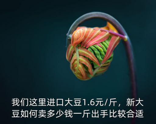 邯鄲大豆多少錢一斤,多少錢一斤出手比較合適