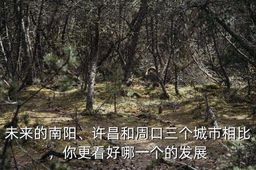 未來的南陽、許昌和周口三個城市相比，你更看好哪一個的發展