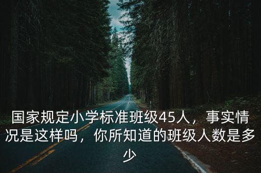 安徽小學標準班多少人,國家規定小學標準班級45人