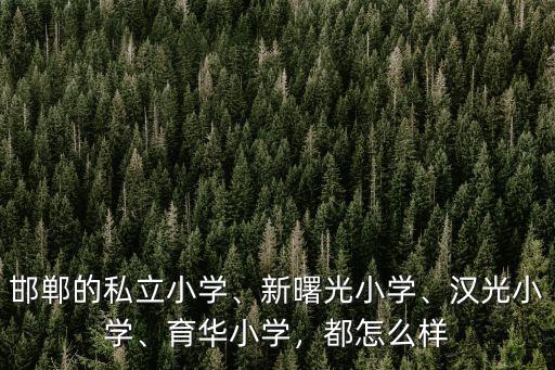 邯鄲的私立小學、新曙光小學、漢光小學、育華小學，都怎么樣