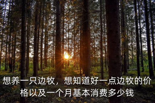 想養一只邊牧，想知道好一點邊牧的價格以及一個月基本消費多少錢