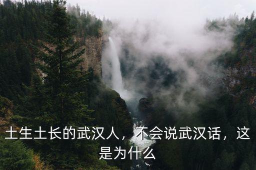 土生土長的武漢人，不會說武漢話，這是為什么