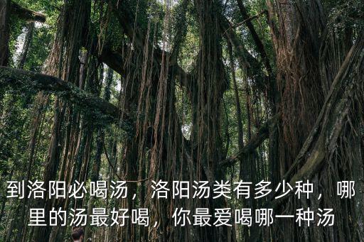 到洛陽必喝湯，洛陽湯類有多少種，哪里的湯最好喝，你最愛喝哪一種湯