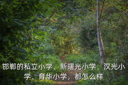 邯鄲的私立小學、新曙光小學、漢光小學、育華小學，都怎么樣