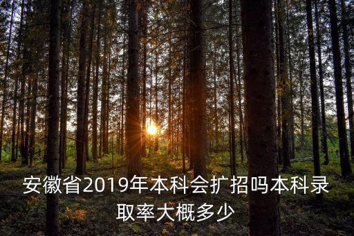 2018安徽本科錄取率是多少,本科錄取率大概多少