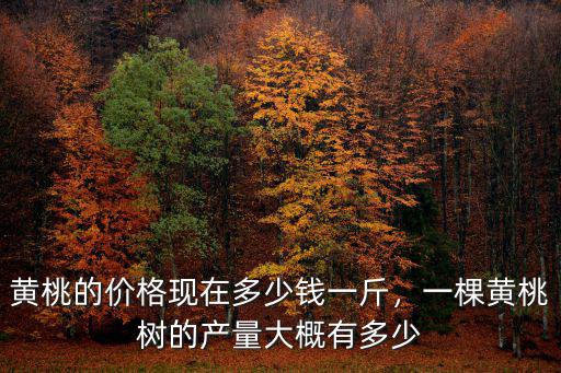 黃桃的價格現(xiàn)在多少錢一斤，一棵黃桃樹的產(chǎn)量大概有多少