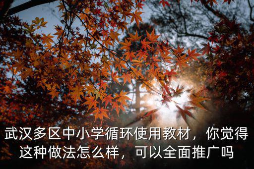 武漢漢南小學(xué)怎么樣,武漢這個(gè)城市怎么樣