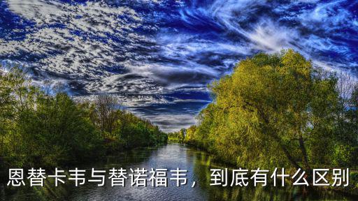 恩替卡韋與替諾福韋，到底有什么區(qū)別