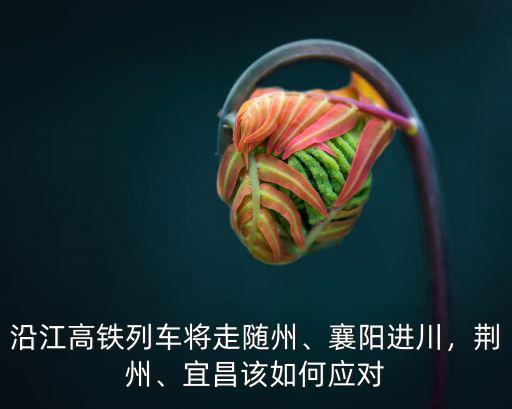沿江高鐵走鄭萬恩施怎么辦,沿江高鐵列車將走隨州