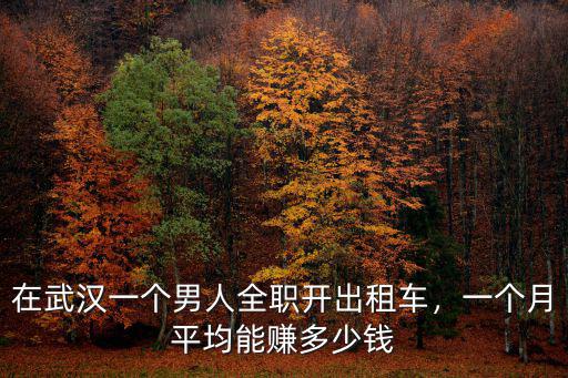 武漢到六安送貨多少錢一個月,一個月平均能賺多少錢