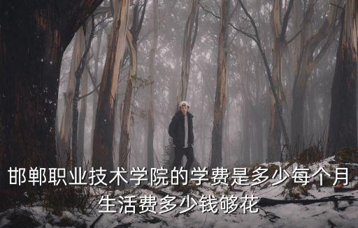 邯鄲職業技術學院的學費是多少每個月生活費多少錢夠花
