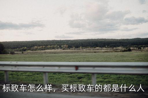 標致車怎么樣，買標致車的都是什么人