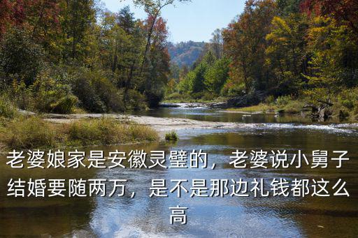 老婆娘家是安徽靈璧的，老婆說小舅子結婚要隨兩萬，是不是那邊禮錢都這么高