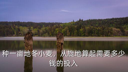 河南一畝地小麥投入多少,種一畝地冬小麥