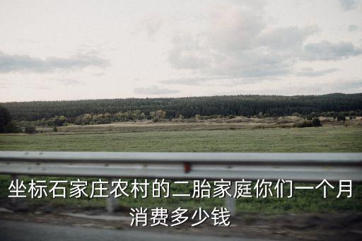 坐標石家莊農村的二胎家庭你們一個月消費多少錢